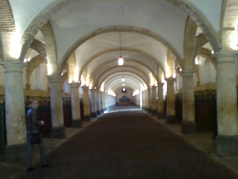 cordobaandalusikerst200733.jpg